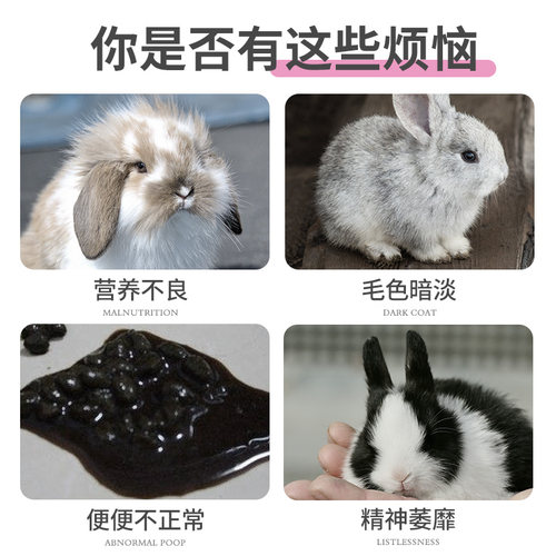 宠尚天兔子饲料宠物侏儒兔垂耳兔幼兔成兔粮营养饲料 - 图1