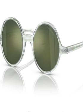 EMPORIO ARMANI/阿玛尼圆形墨镜男女时尚防晒细腿太阳镜0EA 501M