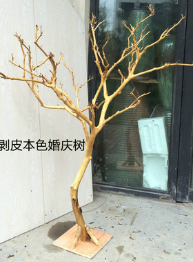 干树枝干枝卧室树干装饰 枯枝白树枝树杆酒店会所摆放隔断设计木
