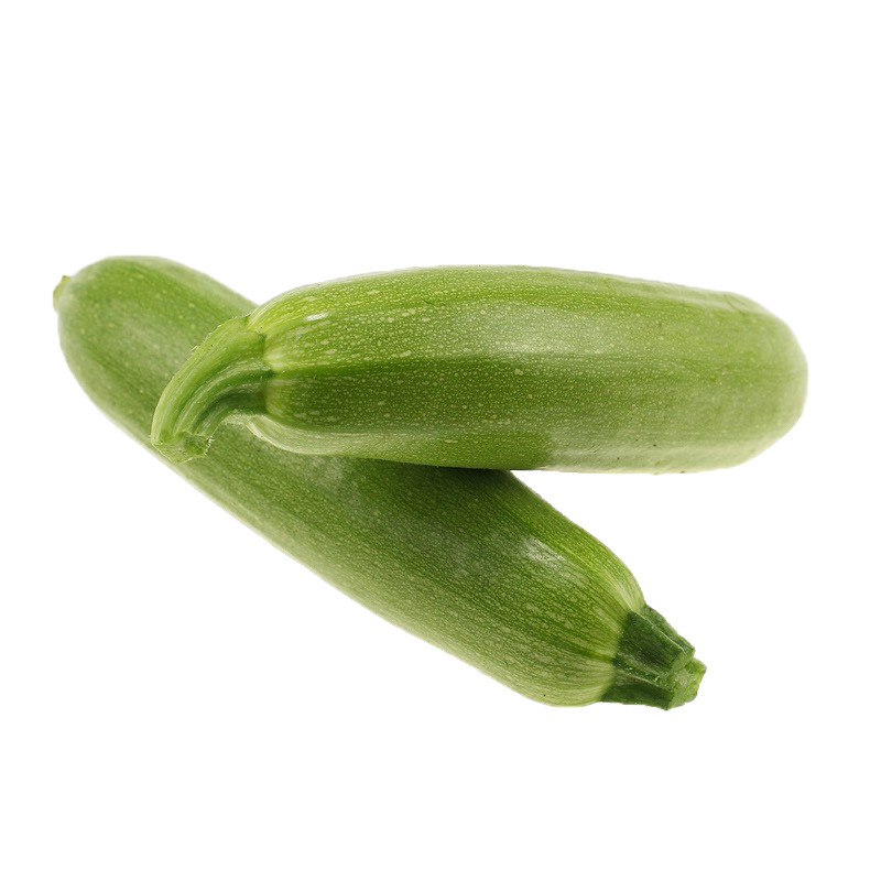 西葫芦种四季绿皮西葫芦种孑菜葫芦籽耐寒抗病春秋季种子瓜种籽子,淘宝优惠券,粉丝福利购,淘宝优惠卷