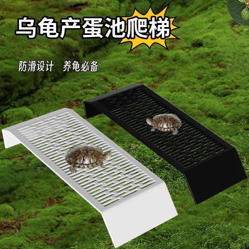 乌龟产蛋池爬梯周转箱壁挂式爬坡架乌龟晒台斜坡乌龟缸高水位爬梯,淘宝优惠券,粉丝福利购,淘宝优惠卷