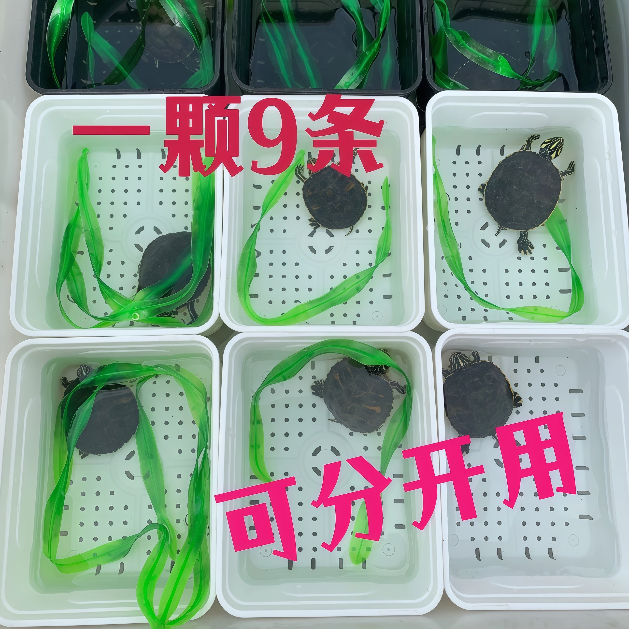 乌龟躲避仿真水草鱼缸龟缸造景装饰乌龟水草防溺水躲避用假草植物,淘宝优惠券,粉丝福利购,淘宝优惠卷