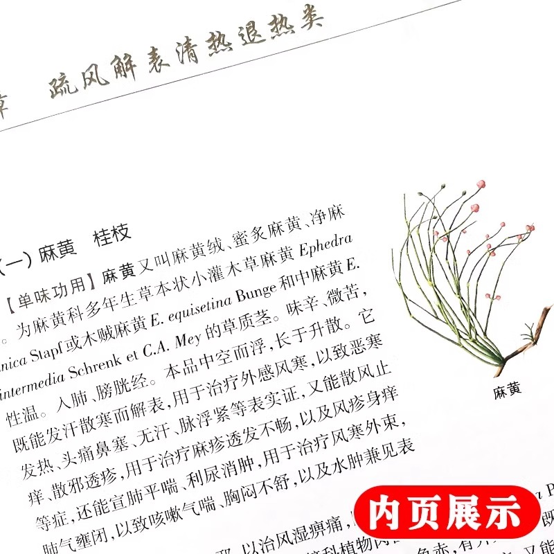 【官方正版】施今墨对药彩色图文版临床经验集正版书籍大全集国医大师吕景山原著传承中医书用药方剂经验书籍人民卫生出版社人卫 - 图2