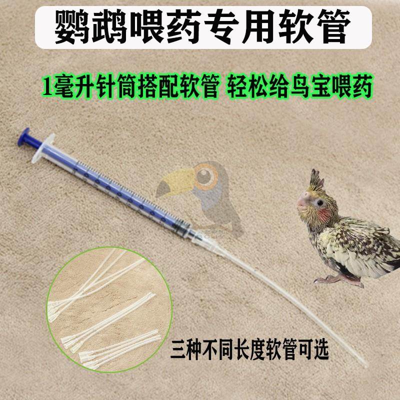 鹦鹉幼鸟雏灌喂药针筒软管喂奶喂食喂水流食软管用虎皮牡丹胃药器,淘宝优惠券,粉丝福利购,淘宝优惠卷