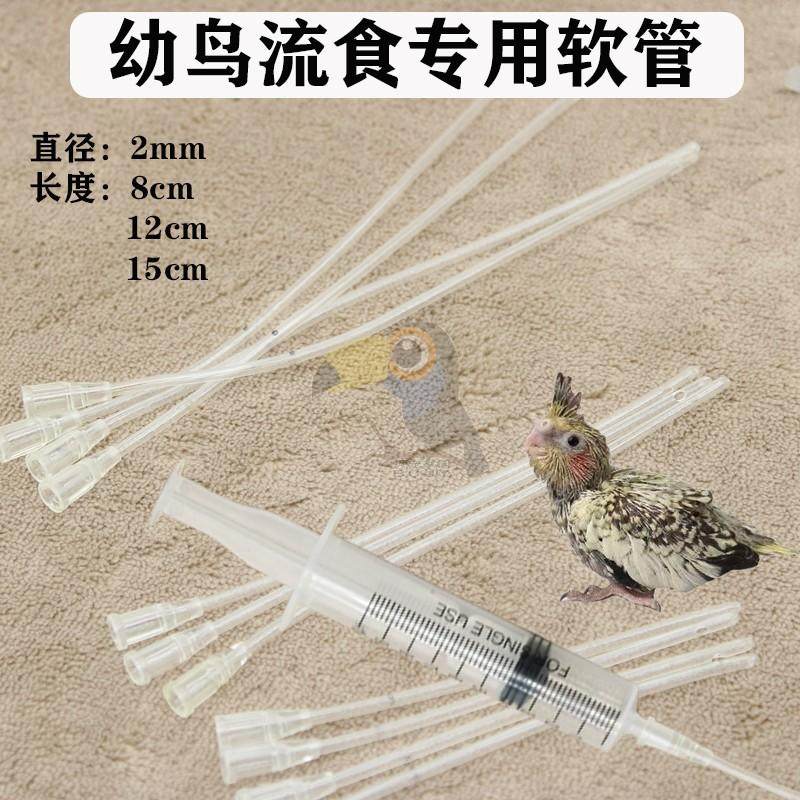鹦鹉幼鸟雏灌喂药针筒软管喂奶喂食喂水流食软管用虎皮牡丹胃药器,淘宝优惠券,粉丝福利购,淘宝优惠卷