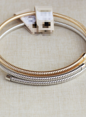 欧美时尚个性夸张金属风项链简约冷淡风弹力蛇骨锁骨链项圈choker