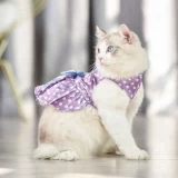 Специальное предложение оформление | Кошачья одежда для кошачьей одежды, сломанный код, свадебный костюм фото, фото принцесса, сирота, не возвращается