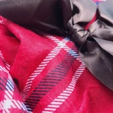 Кошачья одежда Новый год Holly Pet Pet Pet Bohnson Колтяжные колготки Юбка.