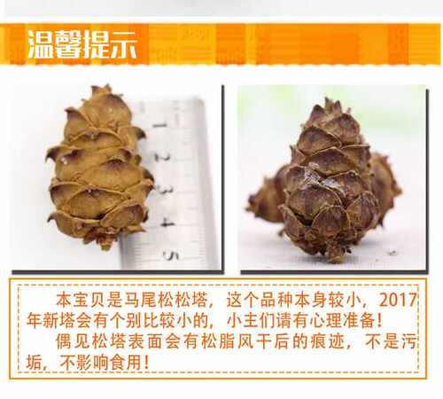 松树塔2斤1000克马尾松松塔克包邮 - 图3
