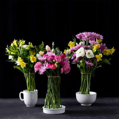 Peleg Design魔法花托花瓶 Invisivase创意简约小花器花架 - 图0