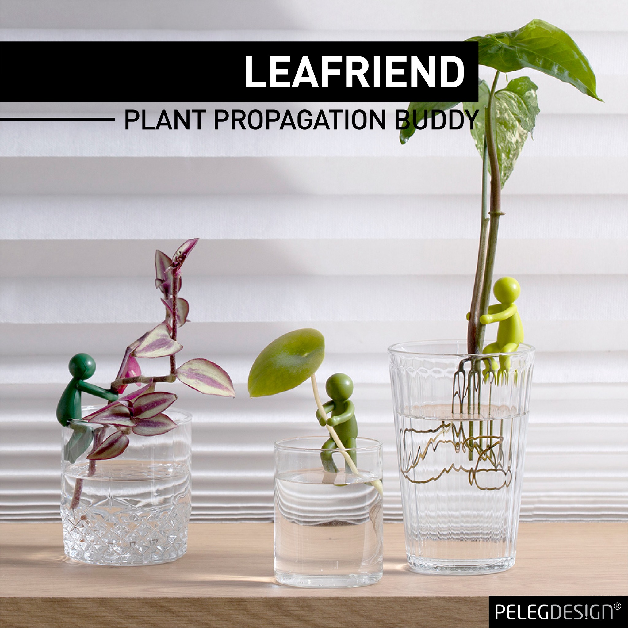 以色列Peleg Design植物生长伴侣Leafriend扶正植物茎杆园艺工具-图2