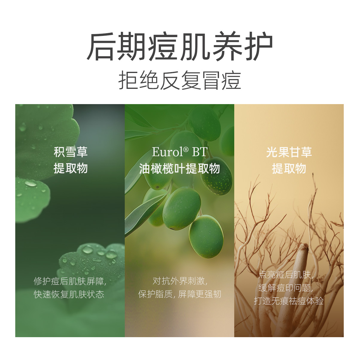 长生鸟5%茶树精油祛痘凝胶精华祛痘膏一抹成膜