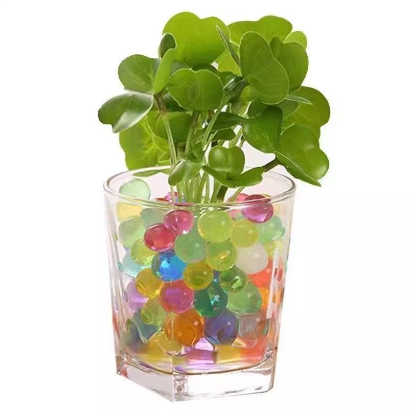 海绵宝宝泡大珠水宝宝吸水珠海洋水精灵龙珠特大霸王珠龙珠彩色球,淘宝优惠券,粉丝福利购,淘宝优惠卷