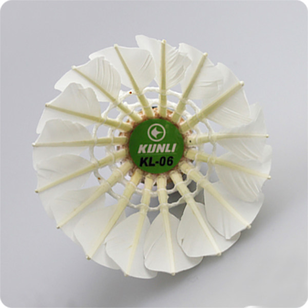 正品 群力KL04羽毛球12只装耐打王打不烂初学者学生训练用球包邮