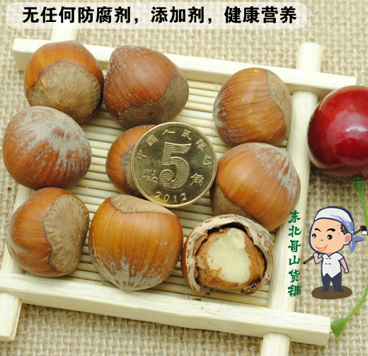 东北大榛子薄皮铁岭生榛子原味新货孕妇干果坚果特价500g-图3