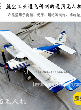 航空工业通飞运五无人机