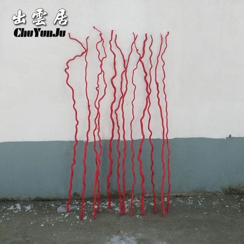 龙桑 龙柳曲柳三叉叶干支柳条 白树枝干树枝干花摆放装饰简约时尚 - 图2