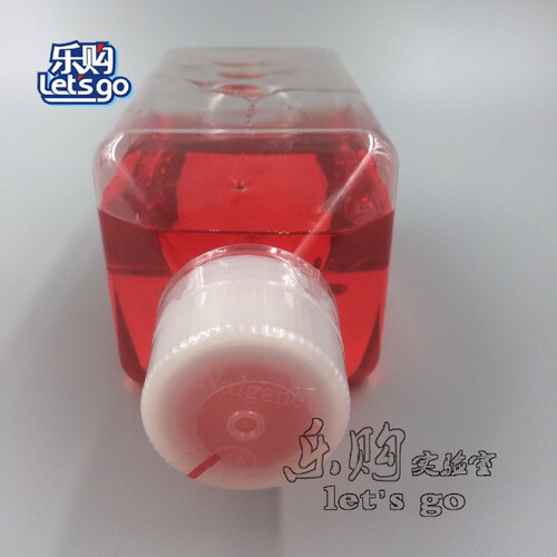 Gibco 国产培养基DMEM高糖,无丙酮酸钠，C12430500BT 500ML - 图0