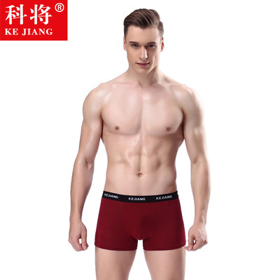 men underpants sexy mens underwear boxers men briefs shorts - 图0