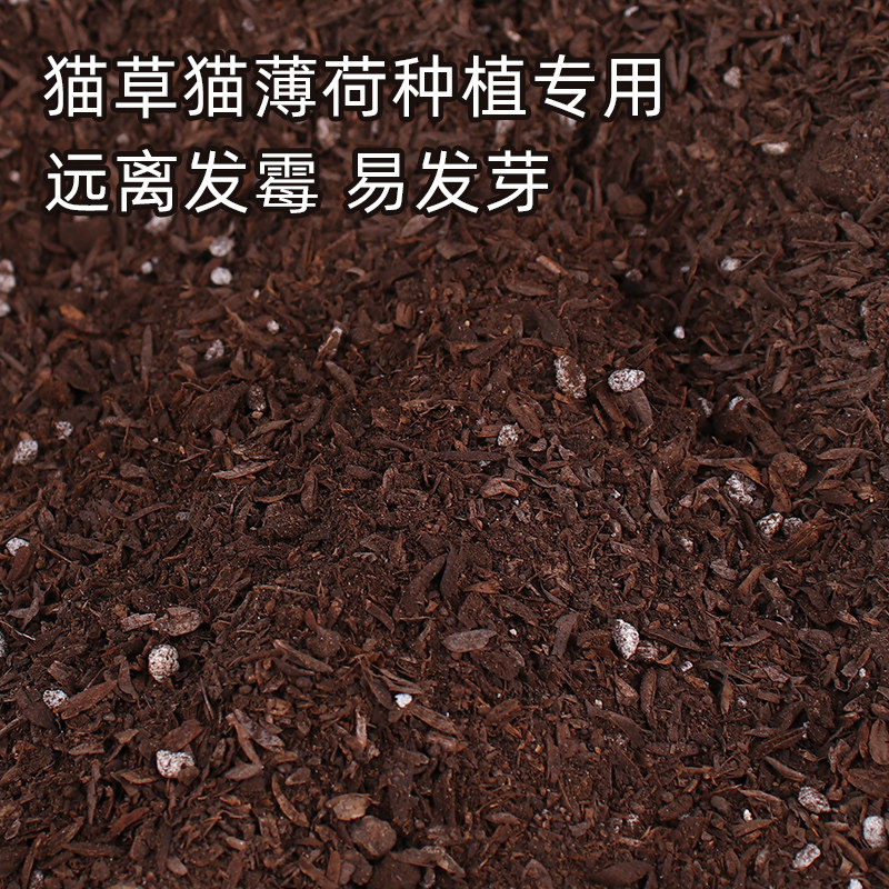 猫草营养土猫薄荷猫吃的化毛草种植天然有机土营养土猫草猫草土壤 单身汪2m 淘优券