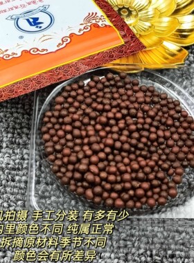 西藏桑顶S大悲虚空王玛尼日布装藏供奉