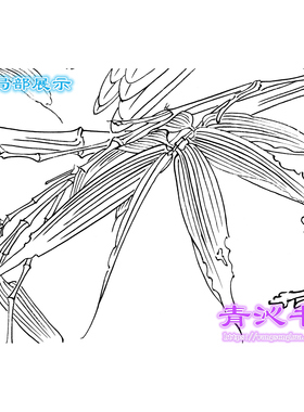 工笔画白描底稿熟宣鹦鹉任重花鸟