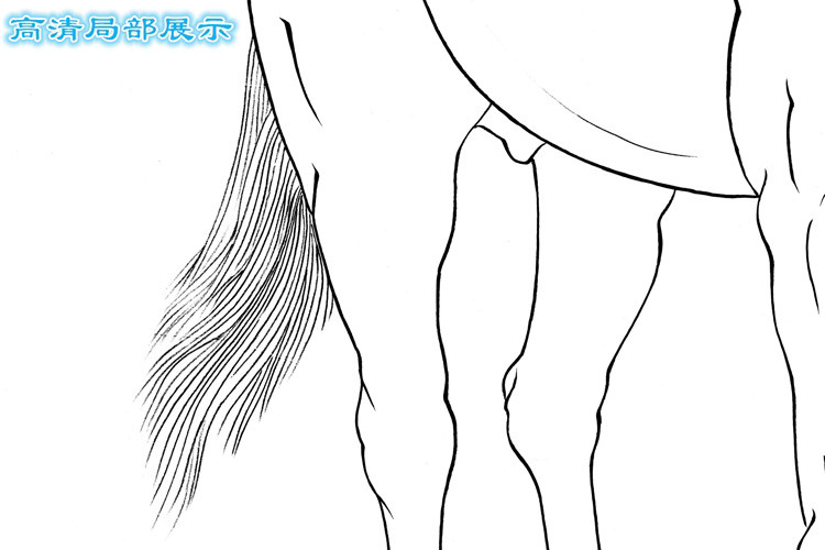 D1骏马动物工笔画白描底稿熟宣纸线描白纸国画稿初学练习用条幅,淘宝优惠券,粉丝福利购,淘宝优惠卷