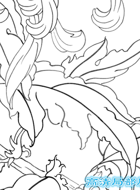 工笔画白描底稿扇面花鸟圆形熟宣
