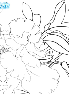 工笔画白描底稿俞致贞牡丹条幅