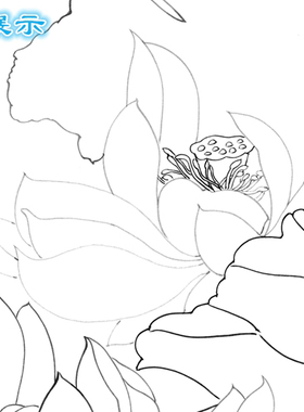 工笔画白描底稿荷塘双鸭直接上色