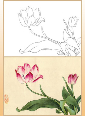 工笔画白描底稿上色俞致贞