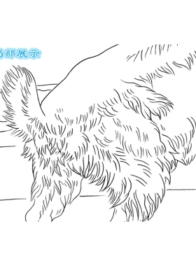 动物工笔画白描底稿熟宣纸线描