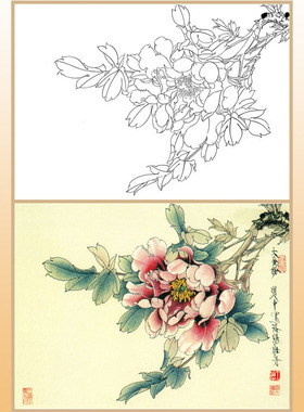 工笔画白描底稿上色牡丹宣纸画稿