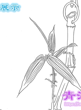 N105花鸟工笔画白描底稿实物白纸线描画稿临摹过稿鹦鹉条幅任重