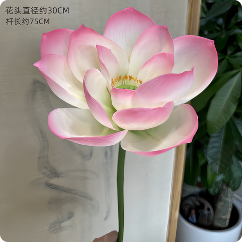 仿真带杆荷叶莲叶荷花PVC软胶可水洗舞台表演道具 水池造景装饰花 - 图1
