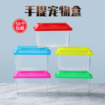 Large and small childrens hand portable and transparent pet rearing transport case plastic gold fish tank Utortoise cylinder swing stall