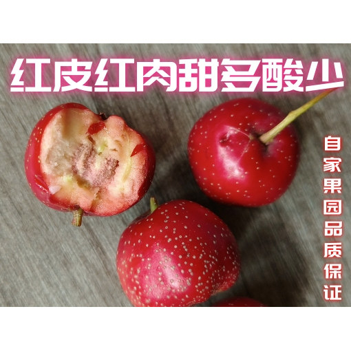 山楂 水果山楂 樱桃小山楂 甜口山楂甜红子,淘宝优惠券,粉丝福利购,淘宝优惠卷