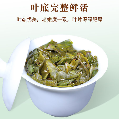 醉悠2026新茶春茶正味铁观音茶叶安溪铁观音礼盒装500g - 图0