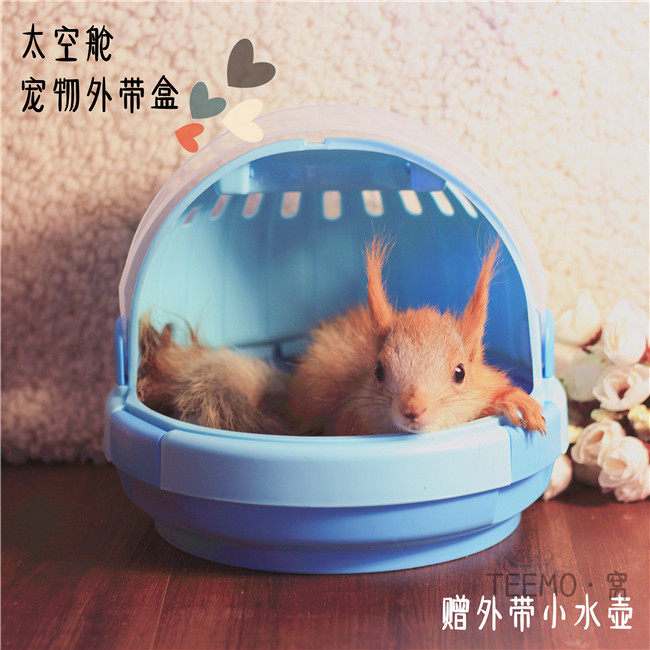 仓鼠飞鼠蜜袋鼯花枝鼠鹦鹉松鼠豚鼠刺猬外出包外带盒太空舱防压 - 图2