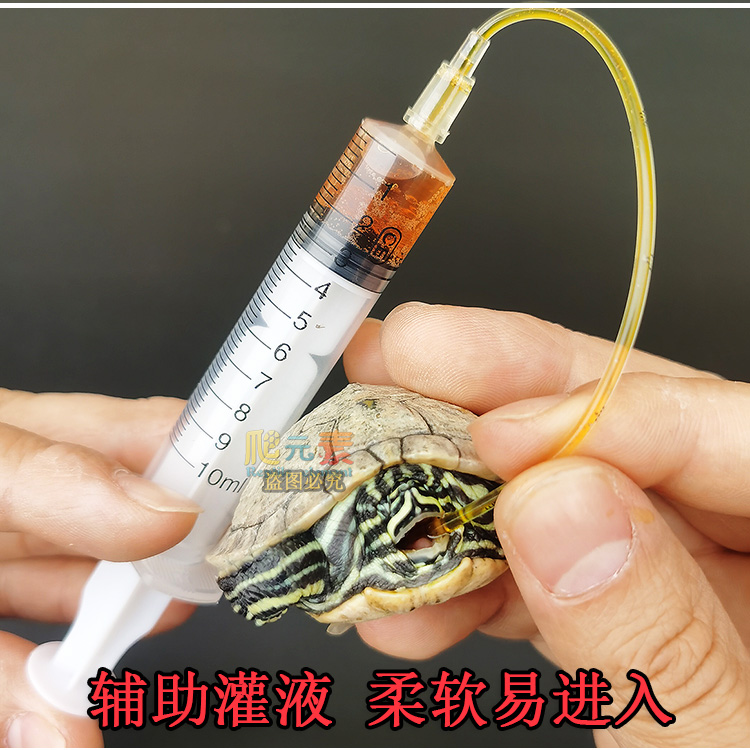 爬虫医疗器材喂食器灌药器开口工具水龟陆龟蜥蜴宠物医疗救助用品 - 图1