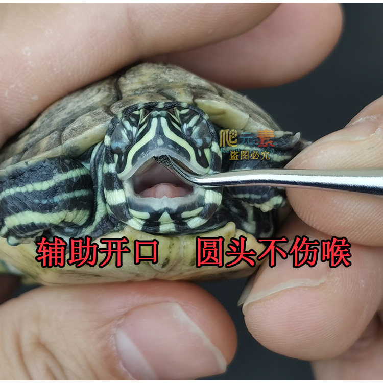 爬虫医疗器材喂食器灌药器开口工具水龟陆龟蜥蜴宠物医疗救助用品,淘宝优惠券,粉丝福利购,淘宝优惠卷