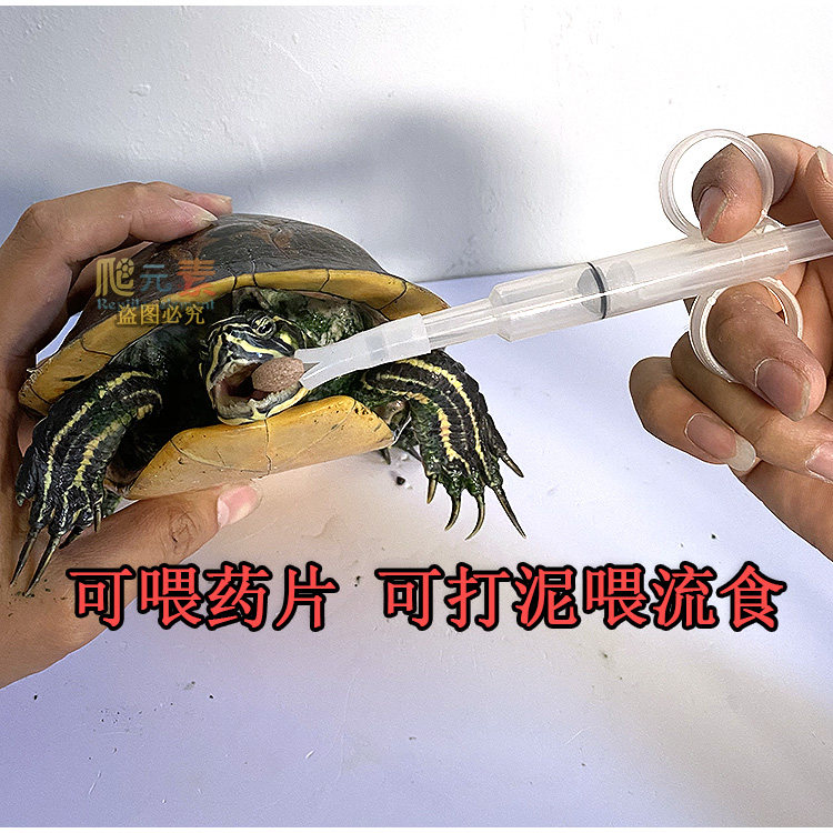 爬虫医疗器材喂食器灌药器开口工具水龟陆龟蜥蜴宠物医疗救助用品,淘宝优惠券,粉丝福利购,淘宝优惠卷