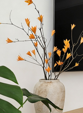 玉兰花真长枝干花装饰摆件