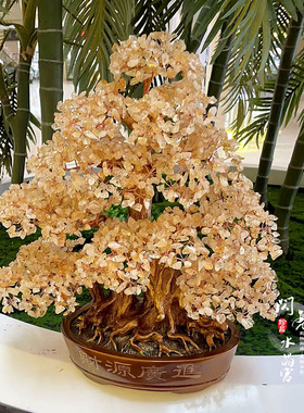 天然黄水晶发财树摇钱树别墅客厅招财摆件高档招财树店铺开业搬家