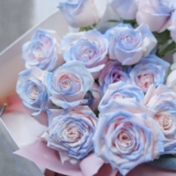 Цветочный распылитель распылительный аэрозоль.