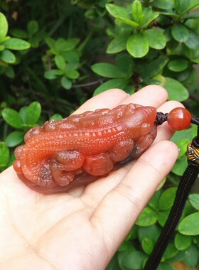 天然凉山南红玛瑙吊坠如意蜥蜴男