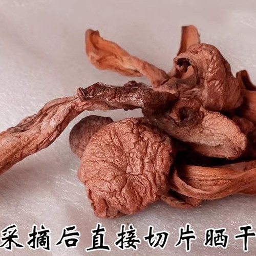 2025年东北特产红蘑菇干货 松蘑 肉蘑松伞蘑 红蘑包邮 - 图1