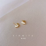 [闊╁浗缃戠孩绮捐嚧灏忚€抽拤濂?023骞存柊娆炬疆灏忎紬璁捐楂樼骇鎰熻€崇幆姘旇川鑰抽グ]