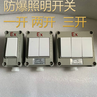 Ex explosion-proof lighting switch 220v aluminum shell explosion-proof surface-mounted single-joint dual-control 86 type wall industrial switch