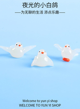 可爱卡通夜光小白鸽 微景观多肉植物diy园艺动物树脂工艺品摆件